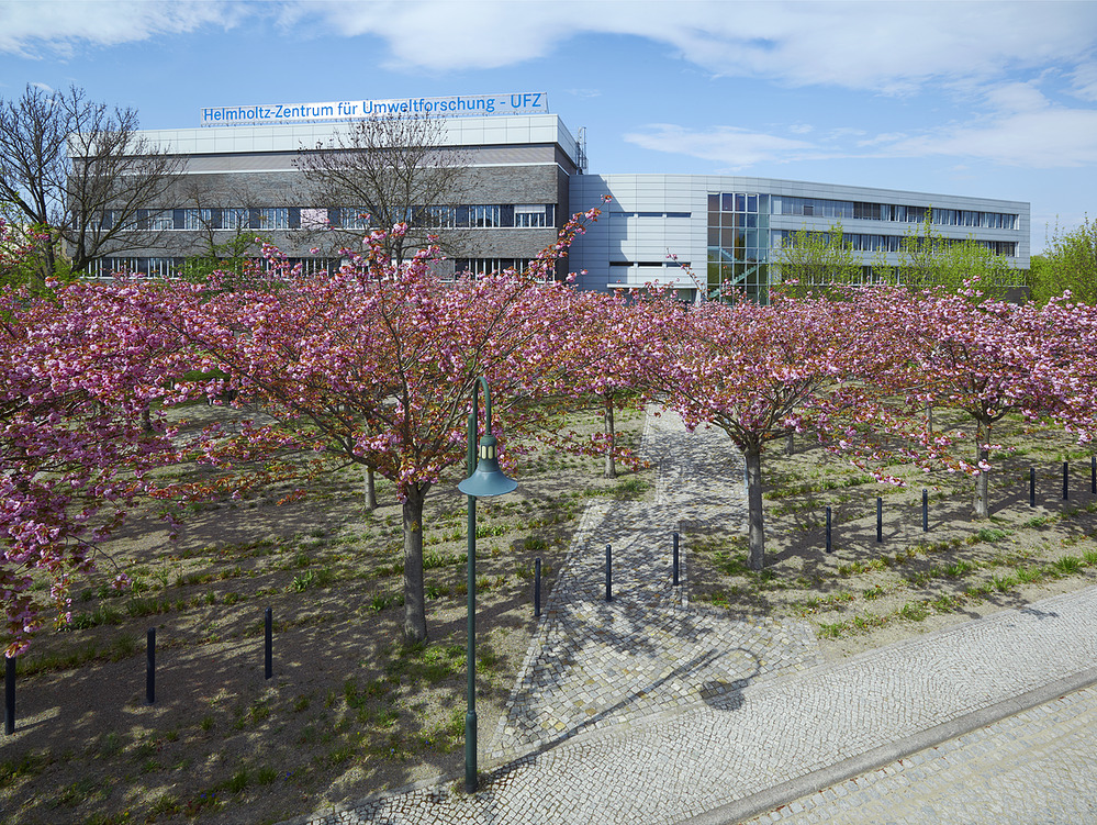 Bild UFZ Magdeburg